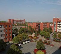 �Ϸ������WУ