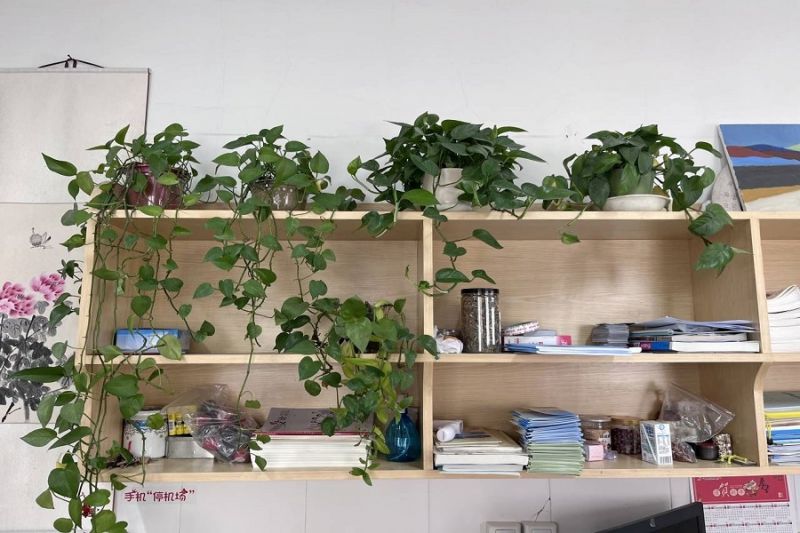 �Ϸ��л���С�������F���ڴ�߶����� ���ν�������