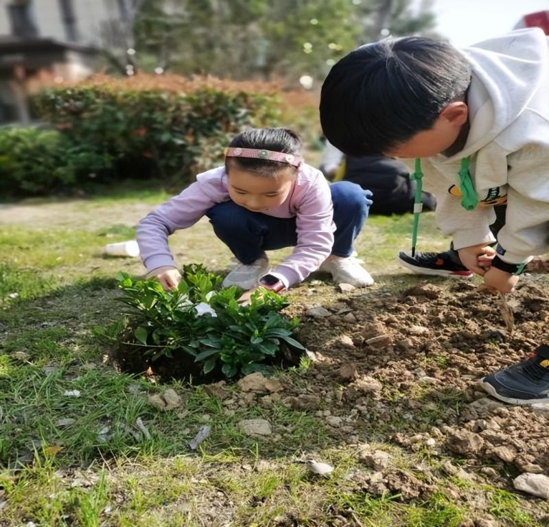 �Ϸ��л���С�������F(tu��n)ӳ��У�^(q��)էů߀�����K�� ���g���������