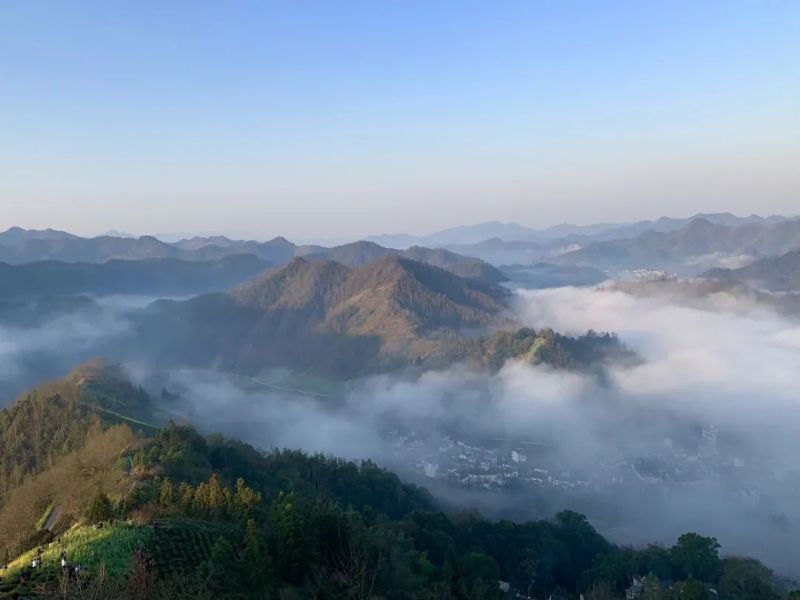 �Ϸ����ψ@�WУ���������zӰ��ِȡ�ÈA�M�ɹ�