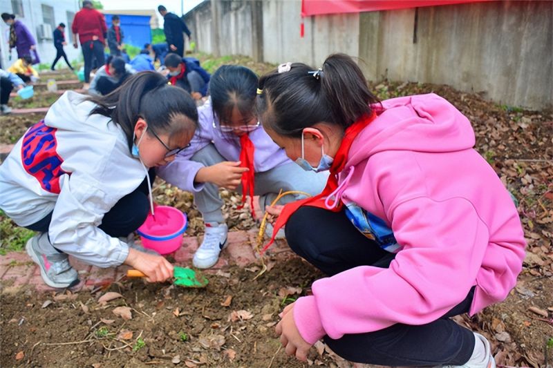 �Ϸ��а���С����У�������r(n��ng)����������