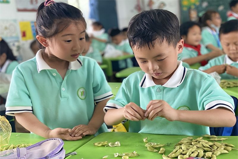 �Ϸ��а��c·����С�W����У�e�С��c��һ���ڄӼ��ܴ�ِ�����