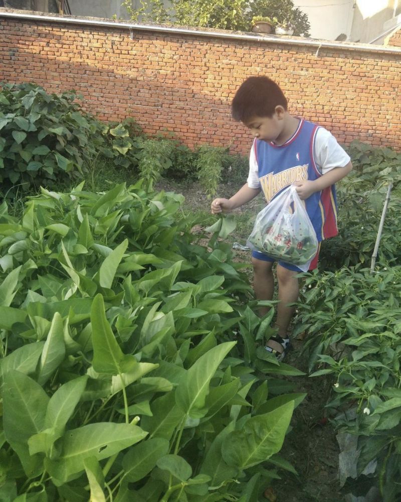 �Ϸ����L��С�mͤ��У�_չ���ڄڄӌ��`���