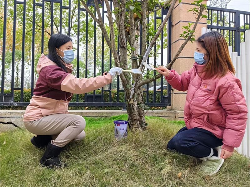 �Ϸ����p���׃��@�������F���Ƿֈ@�h�F�T־Ը���