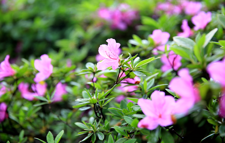 �Ϸ��к��|С�W Ԭ�磺������λ��׌�WУ�����ɞ�ˇ�g