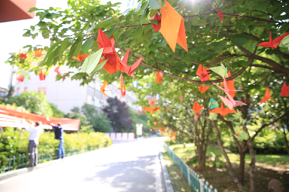 �Ϸ��������ЌW����ɽ�fУ�^ ���ѣ��Զ��������M���p�p��