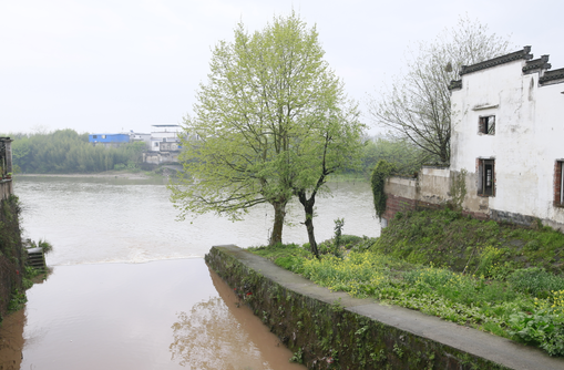 �Ϸ��д�ͥ�@С�W(xu��) �����������ޣ��o�Լ�����늡�