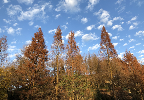 �Ϸ��������ЌW(xu��)����ɽ�fУ�^(q��) ����������o(h��)��(x��)�T�B(y��ng)�� ����Ҹ����L(zh��ng)