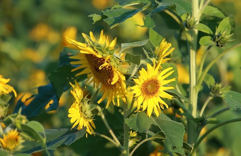 �Ϸ��И��r�´�С�W�W��У�^ ���֣����ɂ��úá����|�n�����