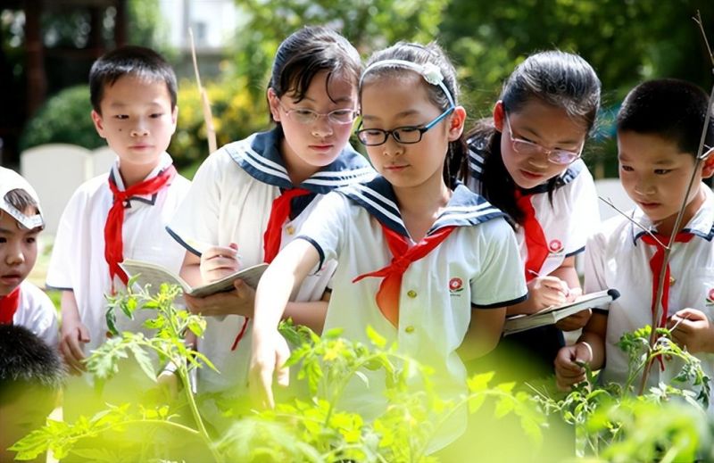 �Ϸ����U�ͼ�ԷС�W���·У�^ ���ľ����t�̅fͬ �����W����������