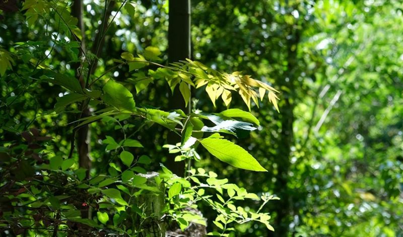 �Ϸ�����ʮ�ЌW�|У����·У�^ �������o�ഺ���ġ��ġ��_ʼ