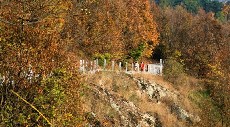 �Ϸ�������С�W(xu��) �������̌W(xu��)���� ������˼