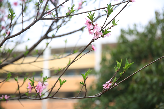 �Ϸ�����С��У�κ�ԷУ�^ �ɕ������W�I�u�r�ĿƌW�\��