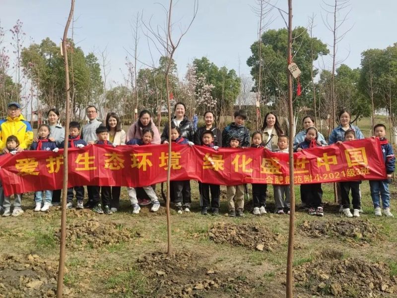 �Ϸʎ�����С�_չ�����o���B�h�� �G��ʢ���Ї���ֲ�䌍�`���