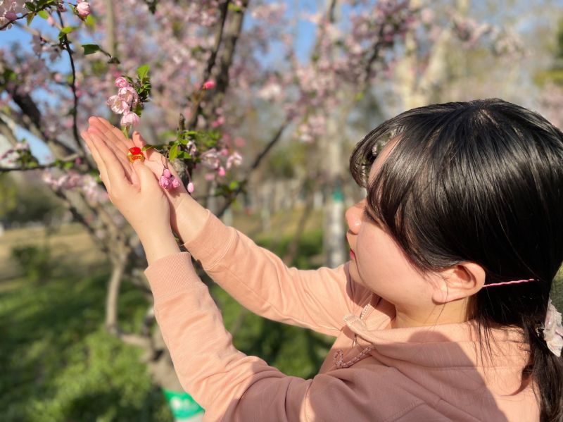 �Ϸ��а��c·�׃��@�������F�F֧���_չ�������������߻��