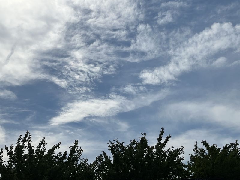 �Ϻ�����W���Fꠡ������l�����rֱ��