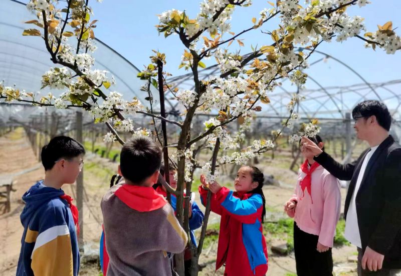 ���l(w��i)�|�����̎���һƪ�������¡�