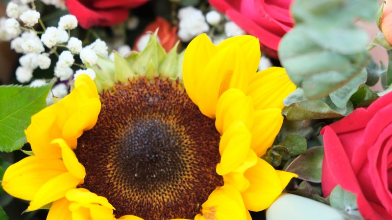 ���ʱO�y���� �P�۱��o���Ӄ�ͯ