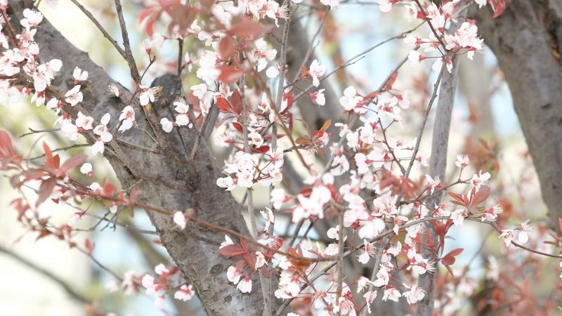 ���Z���Iؽ�����|�֌�