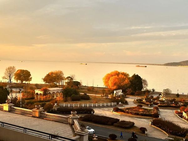 �ڵ����̌W(xu��)�����B(y��ng)�W(xu��)���Č���