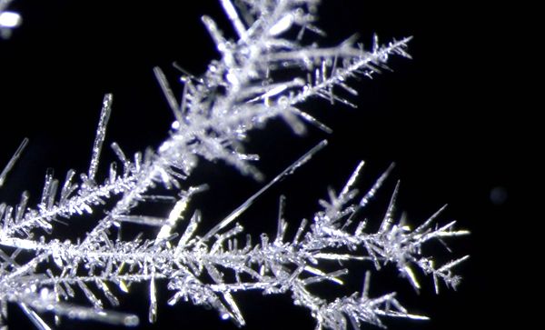 �����I�����M��С�WУ�ƌW�������|���l(f��)չ