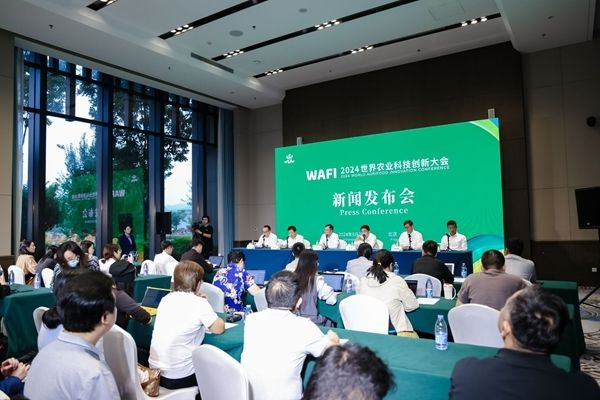 2024�����r�I�Ƽ����´������10���ڱ���ƽ���e��