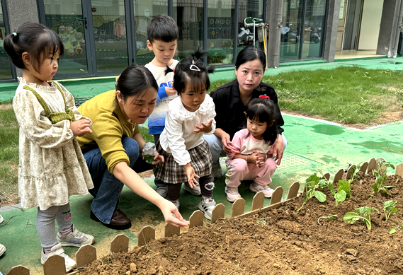 �����׃��@�ِ��A���ֈ@�����շN�߲�  ֲ��؟�θ�