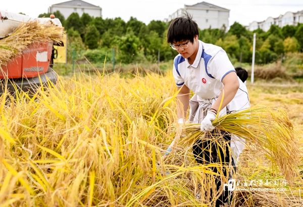 ���Z���t�� �Yٝ�S���Ї��������Ϻ����tͬ�W���g�ի@�r(n��ng)����