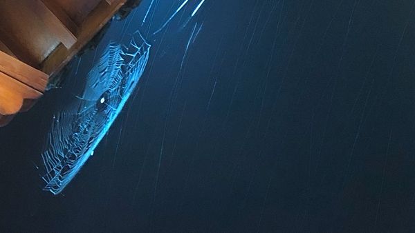 �����r���W�����������������ĸ��w�ٔ��D�����ȫ�w