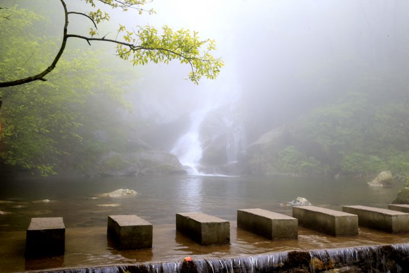 �S��������ˎ�Įa���ںϹ�ͬ�w��ʽ����