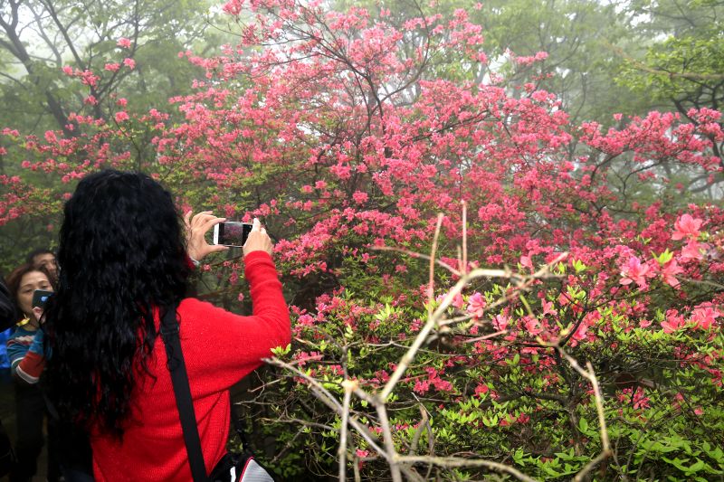 �����e�k������ϲ�۵İ����Ρ��L��չʾ���