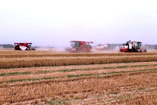 ɽ�|���������조����չ�� �ЌW�ի@��