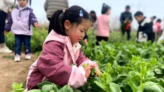 ���c�������C(j��)�P(gu��n)�׃��@����(du��)Ԓ��Ȼ��ֲ����G���Gɫ���B(t��i)־���o(h��)