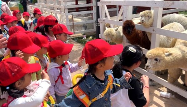 �����׃��@�_չ2025�괺���W���׃�������`