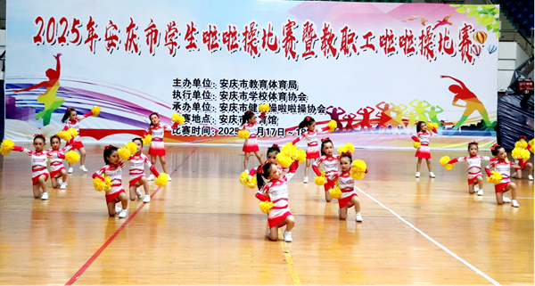 �����׃��@�s�@2025�갲�c�������ٱ�ِһ�Ȫ�