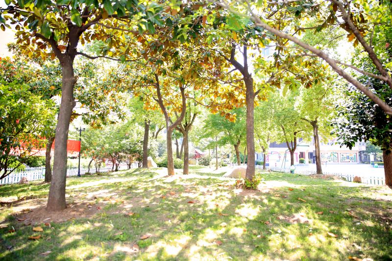 ��ǰ���]��Ո(q��ng)���_(k��i)�@�ݿ�ǰ���{(di��o)�m�\�ҡ�