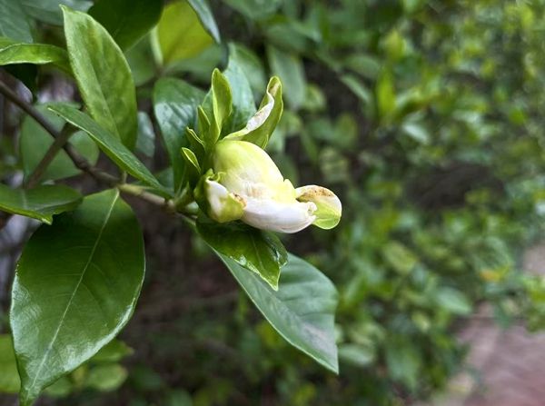 �㽭ͩ�l���h����w���_�W�����Ľ����lչ��˼·