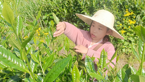 �����Sɽ�^�_չ���Ļ��MУ�@ϵ�л��