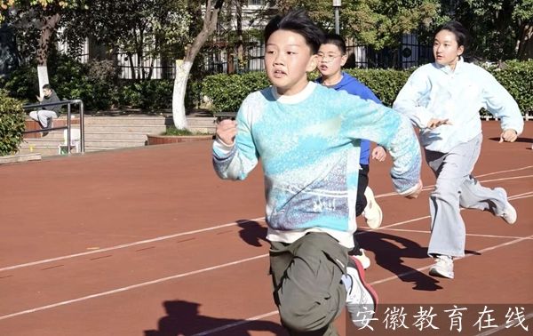 ꖹ�С�W�w�|�����_���\�ӕ��A�M�e��