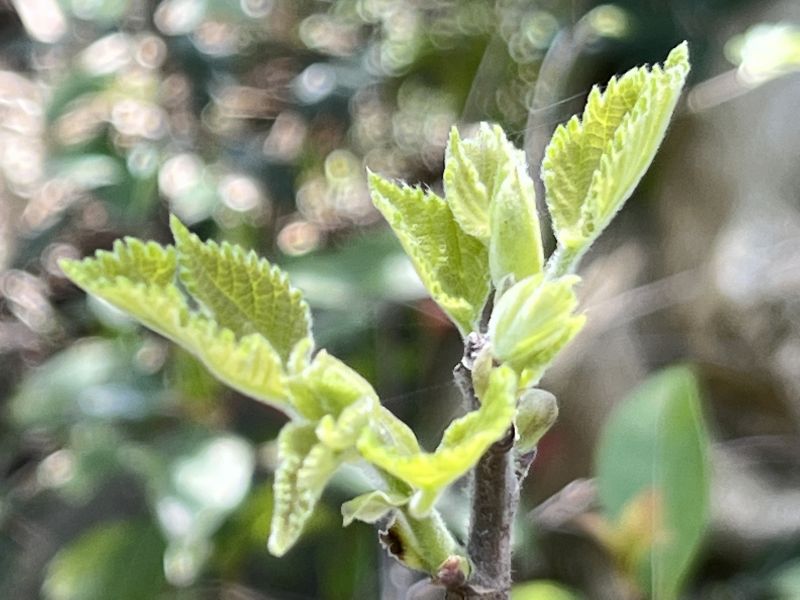 �F(tu��n)�w�����o��(d��o)����С�W(xu��)���}����(hu��)�е��ںϑ�(y��ng)��